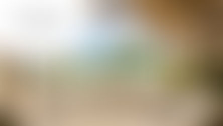 Agent de Réservations Complex (F-H)