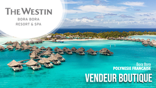 Vendeur Boutique (F-H)