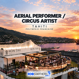Aerial Performer / Circus Artist (H/F)