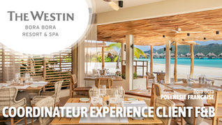 Coordinateur Expérience Client F&B (F-H)