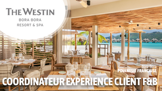 Coordinateur Expérience Client F&B (F-H)