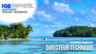 Directeur Technique (H/F)