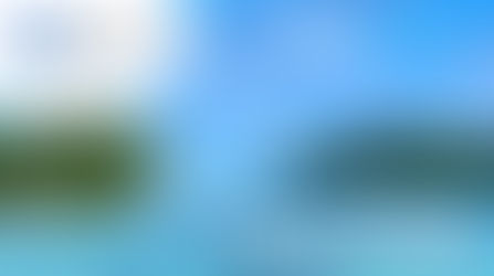 Directeur Technique (H/F)