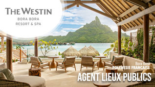 Agent Lieux Publics (F-H)