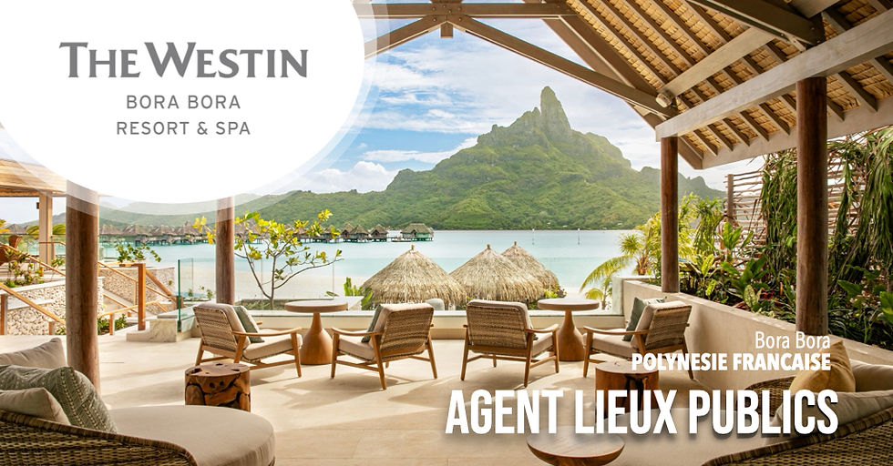 Agent Lieux Publics (F-H)