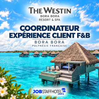 Coordinateur Expérience Client F&B (F-H)