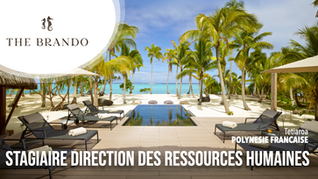 Stagiaire Direction des Ressources Humaines (H/F)