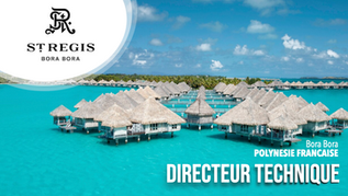 Directeur Technique (H/F)