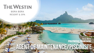 Agent de Maintenance Multi-Technique - Pisciniste (F-H)