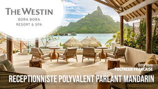 Réceptionniste Polyvalent parlant Mandarin (F-H)