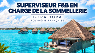 Superviseur F&B en charge de la Sommellerie (F-H)