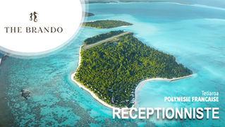 Réceptionniste (H/F)
