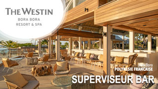 Superviseur Bar (F-H)