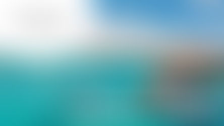 Responsable de la Sécurité (F-H)