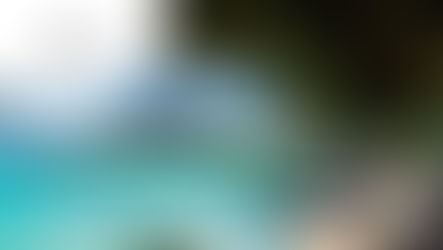 Directeur Restaurant, Piscine et Plage (H/F)