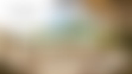 Réceptionniste Polyvalent (F-H)