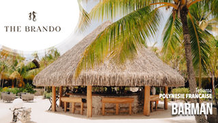 Barman (H/F)
