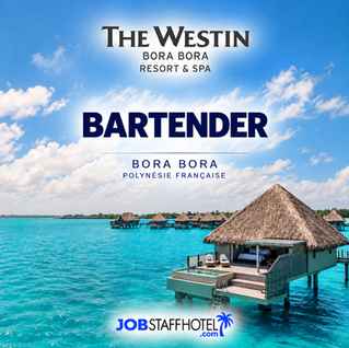Bartender (F-H)