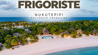 Frigoriste (H/F)