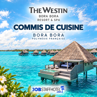 Commis de Cuisine (F-H)