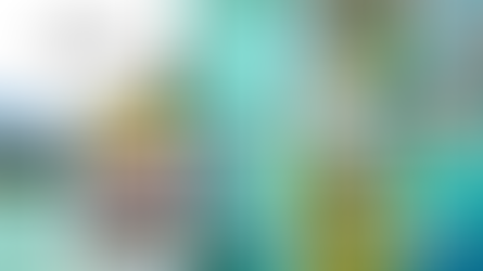 Stagiaire Assistant.e Projet Digital & Marketing  (H/F)