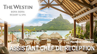 Assistant Chef de Réception (F-H)