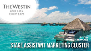 Stage Assistant Marketing Cluster (F-H)