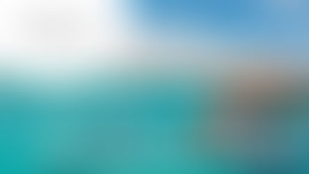 Stage Assistant Marketing Cluster (F-H)