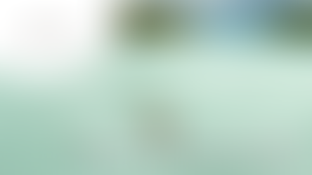 Stagiaire Récréation & Loisirs (H/F)