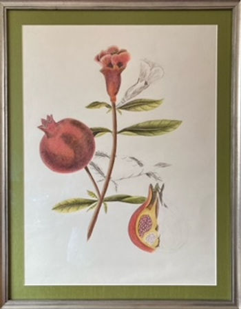 Copy of Berard, Nancy.jpeg