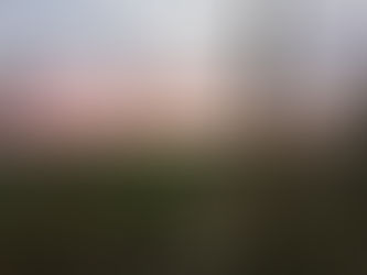 A new discovery through photography