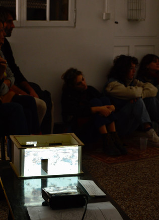 26E034AD-CB2A-4C6B-907D-2926812639A6_1_201_a.jpeg