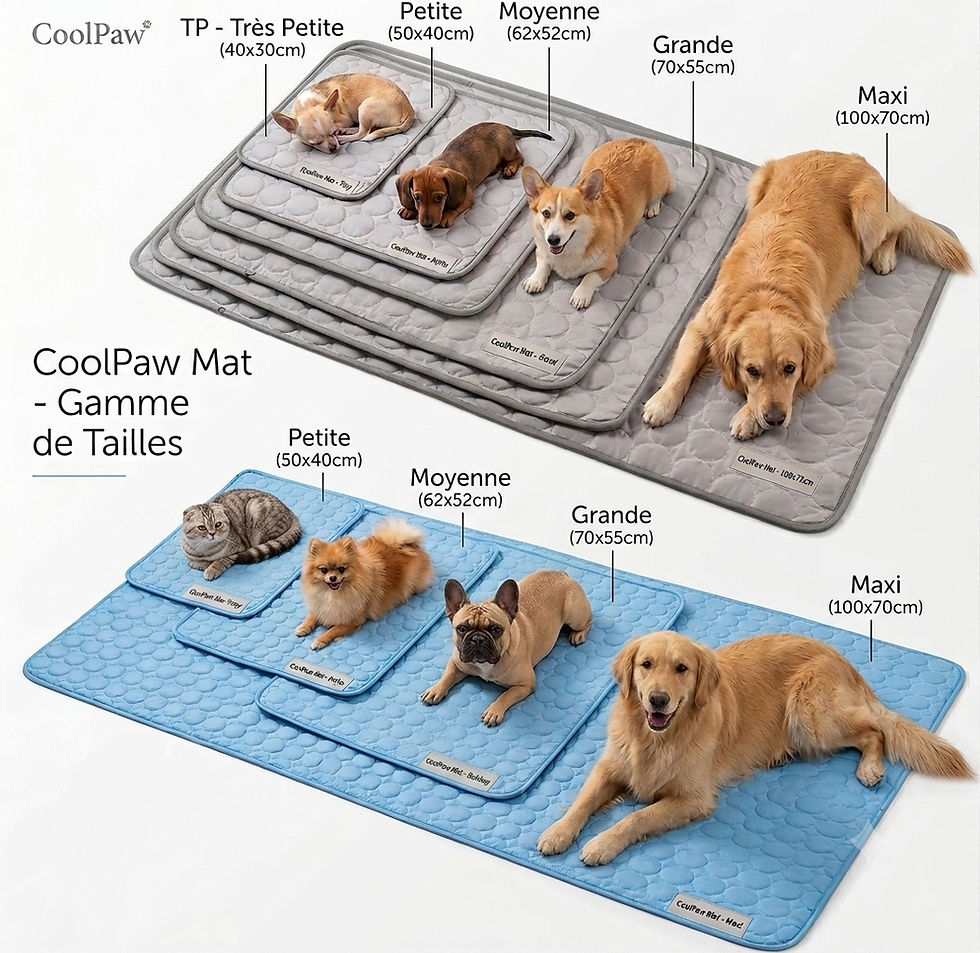 Miniature : CoolPaw Mat