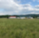 Barn View.JPG