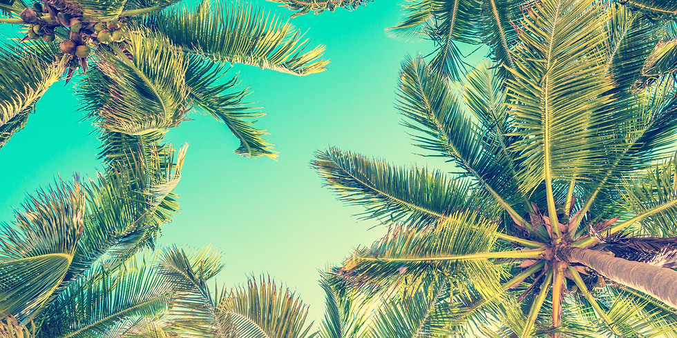 Deine Reise ins Paradies
