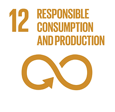 E_INVERTED SDG goals_icons-individual-RG