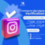 Instagram Permanent Verification Service by Media Town Agency