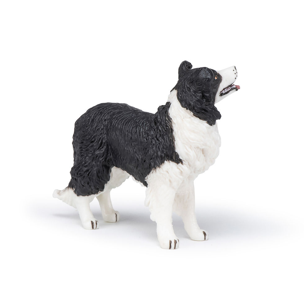 Thumbnail: PAPO BORDER COLLIE FIGURINE AGE 3+ YEARS