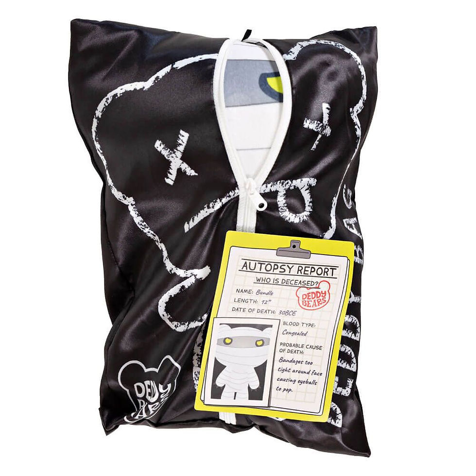 Thumbnail: DEDDY BEAR PLUSH IN BAG CALLED BUNDLE 29CM