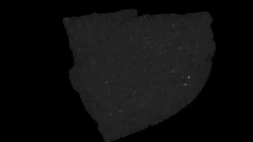 Uma imagem de raios-X do meteorito antártico DOM 08006, descoberto em 2008. (Créditos da imagem: NASA)