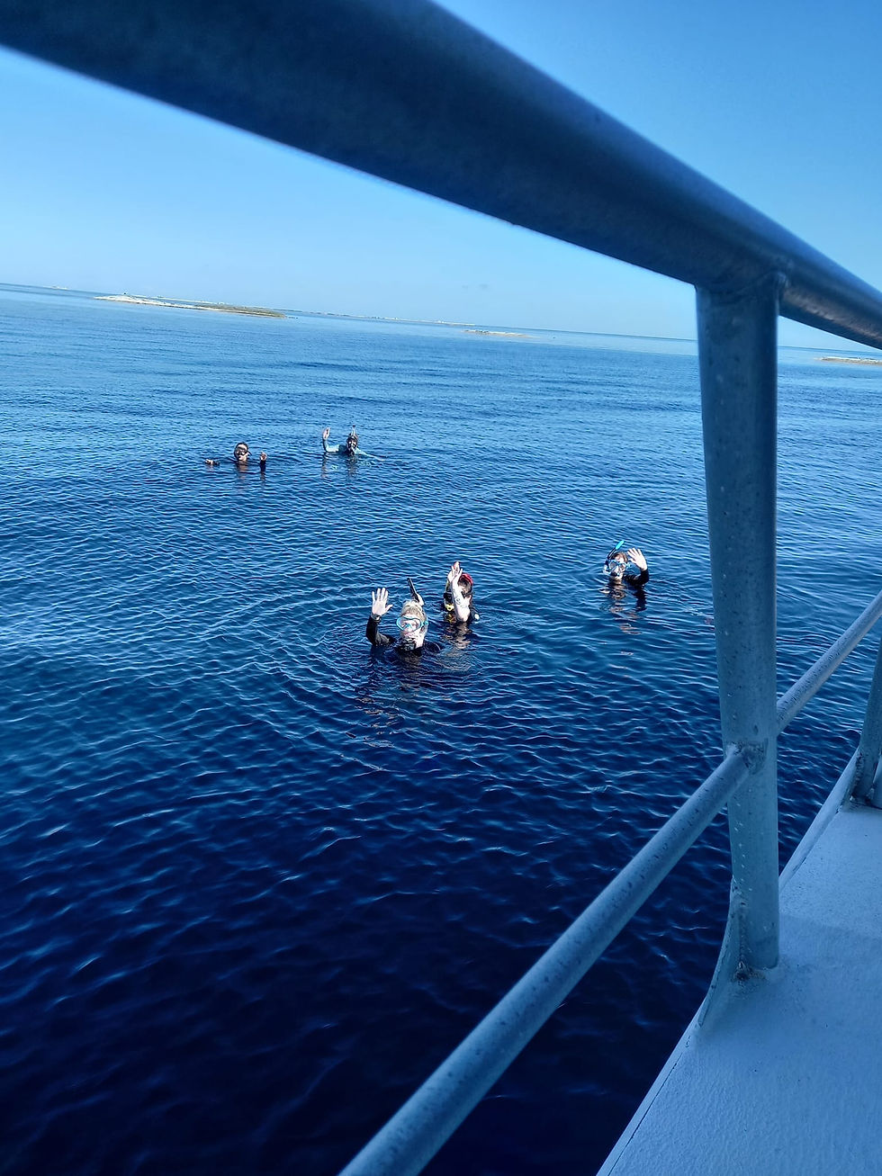 Thumbnail: ABROLHOS ISLANDS SNORKELLING TOUR