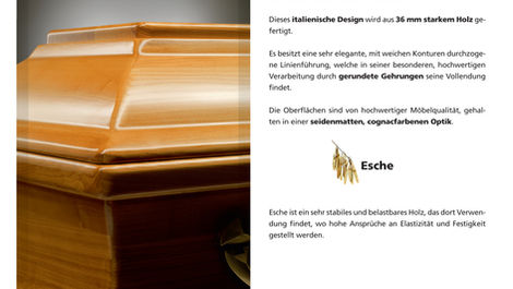 (004) 800 Esche cognac Beiblatt.jpg