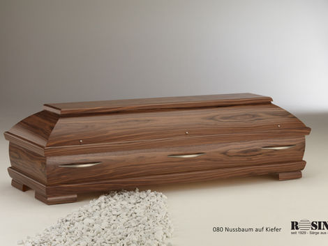 (014) 80_Nussbaum_auf Kiefer.jpg