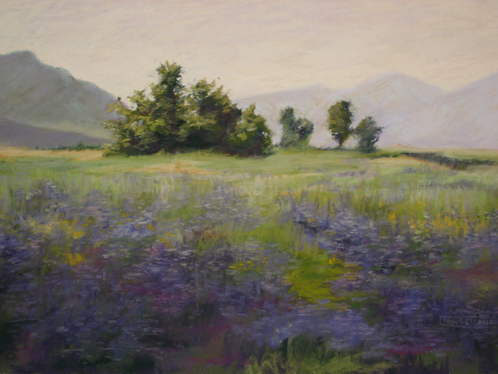 Lupine Meadow