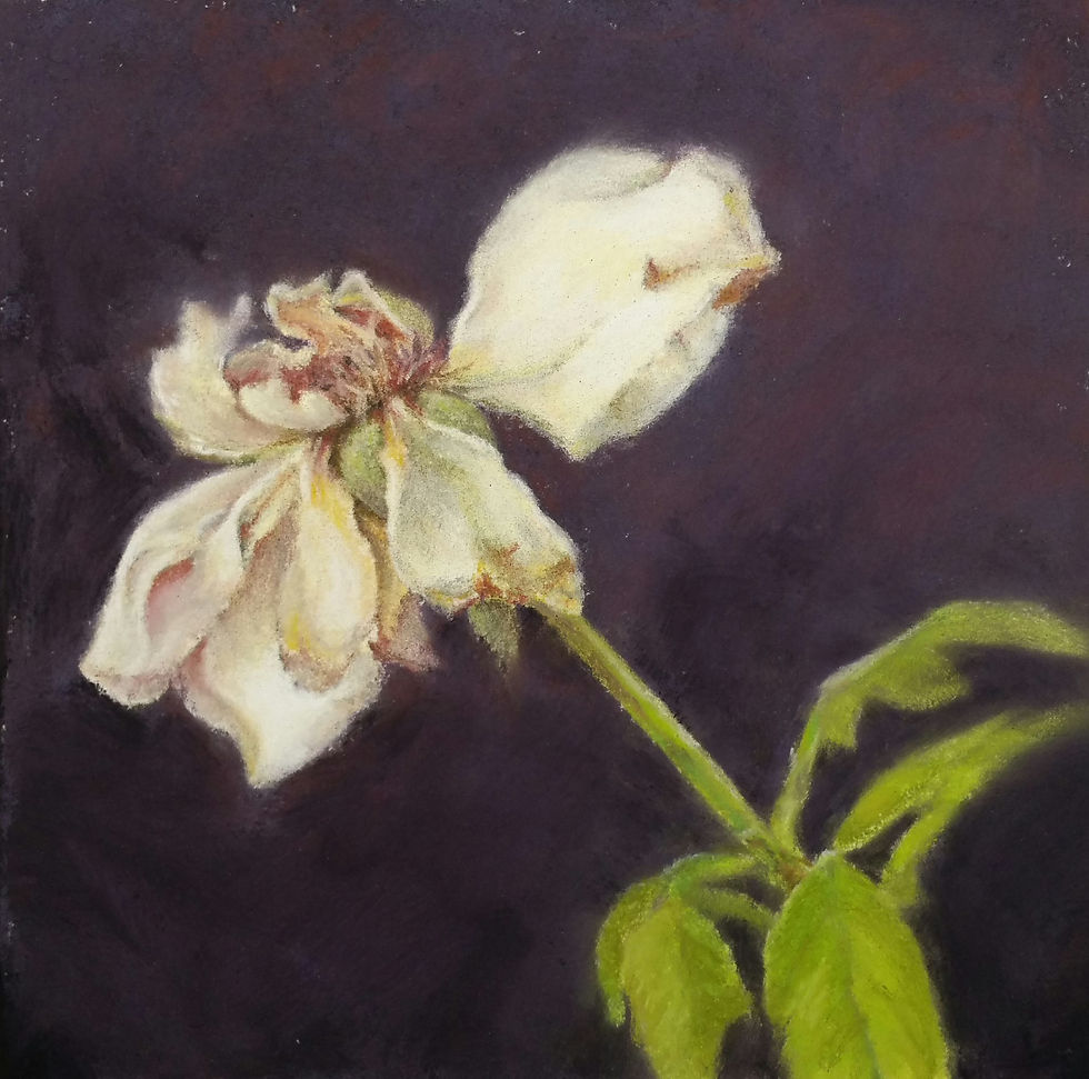 Fading Glory 5