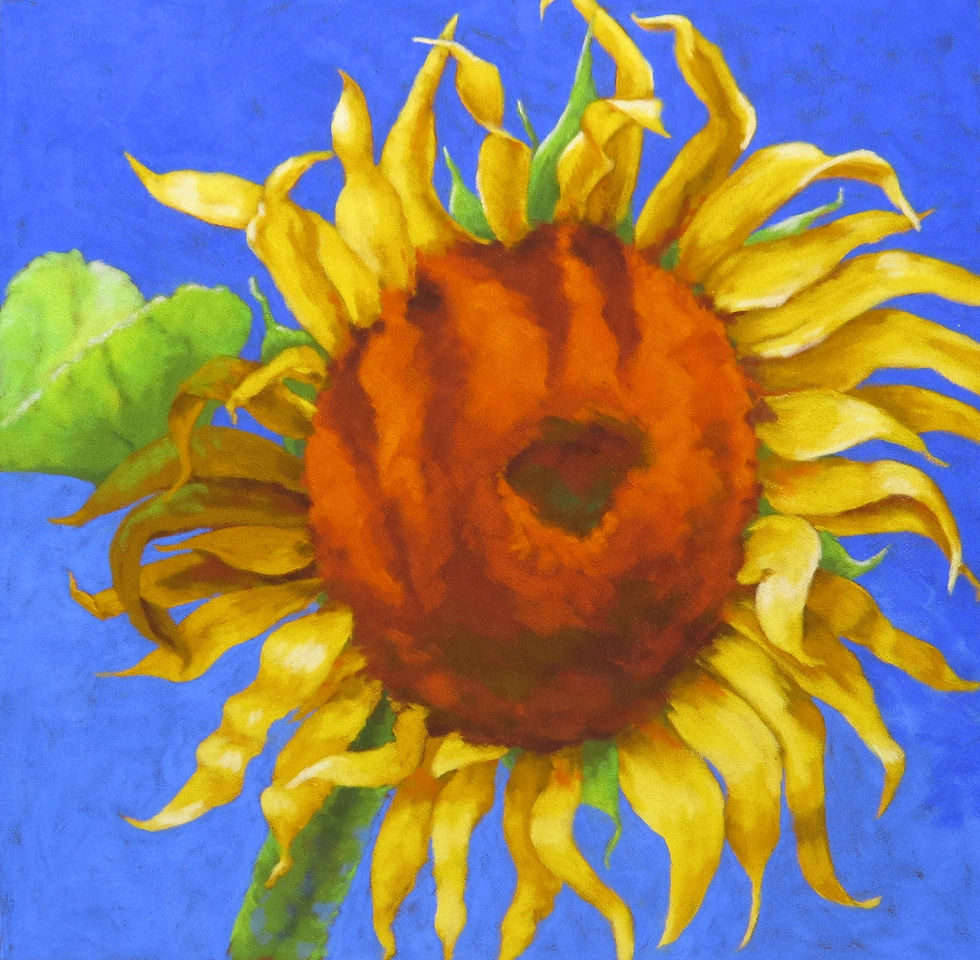 Sunflower 6