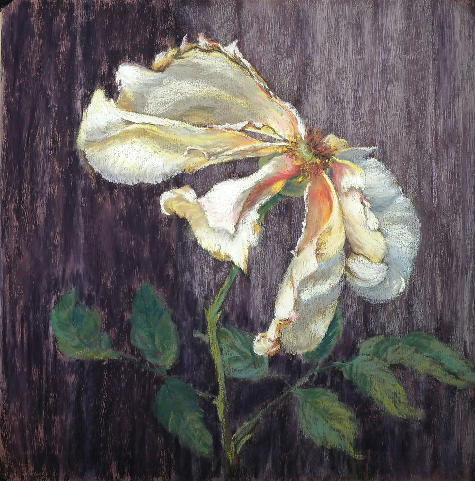 Fading Glory 1