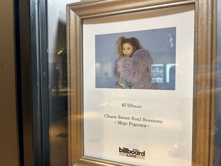 【2024年 ライブ参戦記】Chara Sweet Soul Sessions ~ Mojo Popcorn ~ at ビルボードライブ大阪【MC石幸一氏の反応】