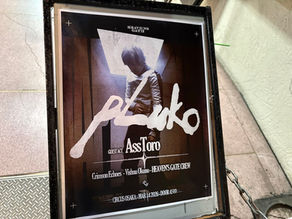【2026年 ライブ参戦記 pluko OSAKA SHOW @ OSAKA CIRCUS 2026.3.14 】