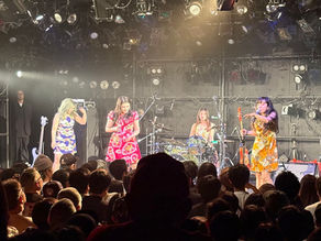 【2026年 ライブ参戦記 おとぼけビーバーワンマンショー @ 梅田クラブクアトロ 2026.4.9 】